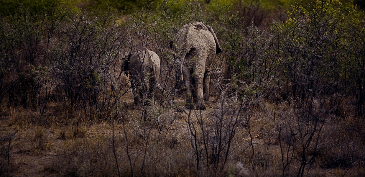 southern AFRICA03